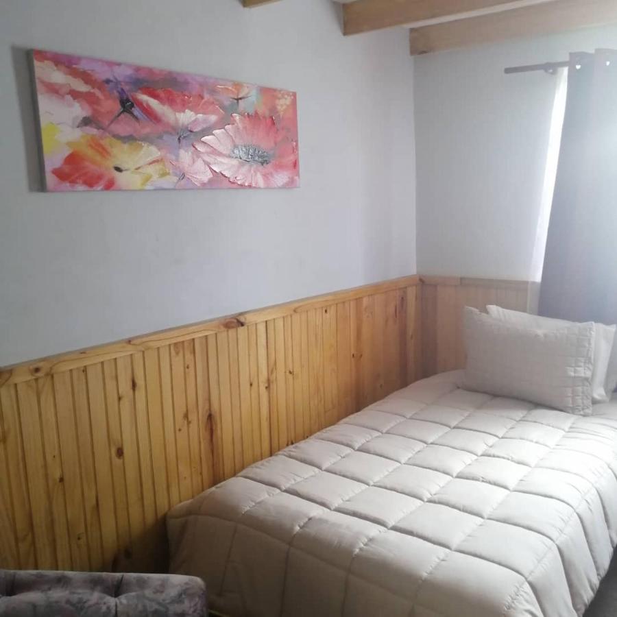 Hostal Y Cabanas Vientos Del Sur Puerto Ingeniero Ibanez エクステリア 写真